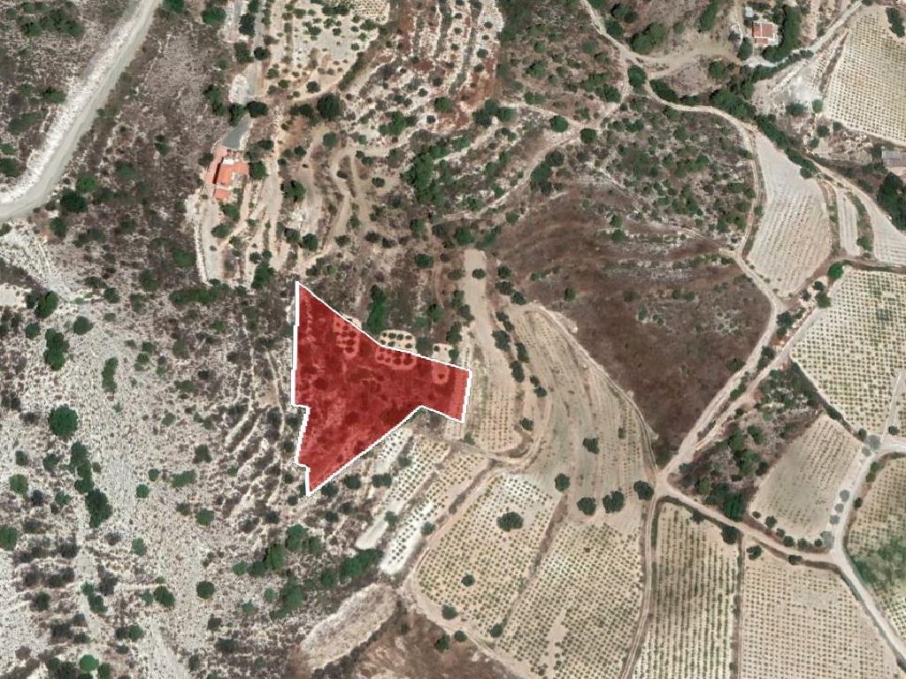Field-Agios Mamas-PR36464