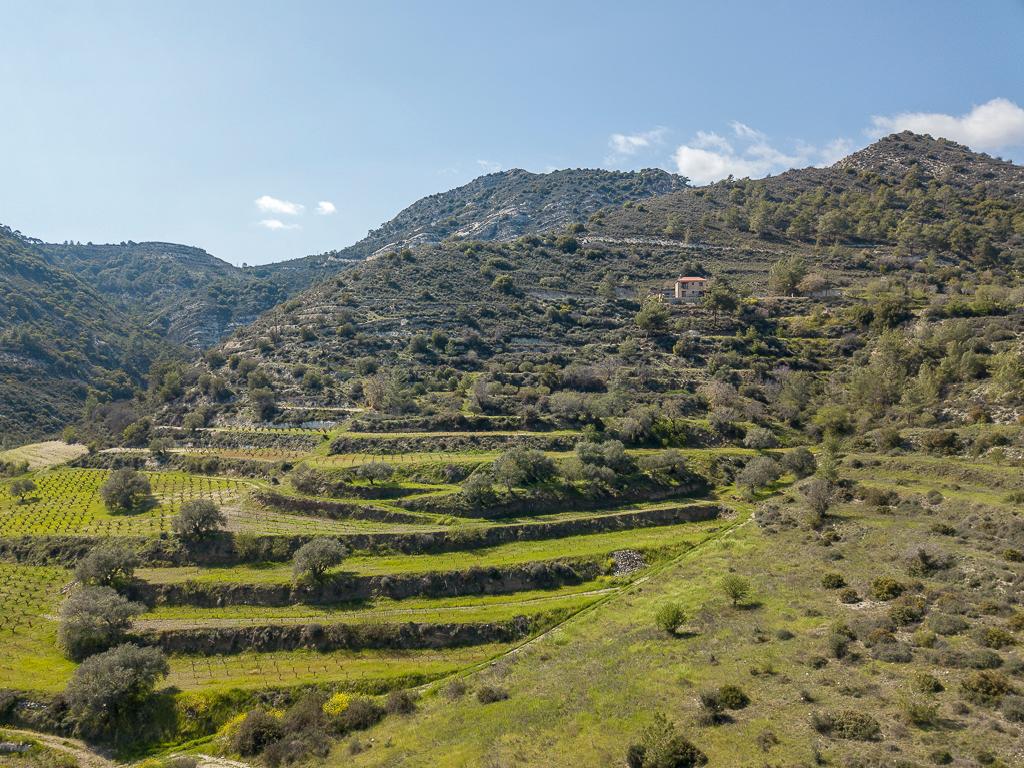 Field-Agios Mamas-PR36464