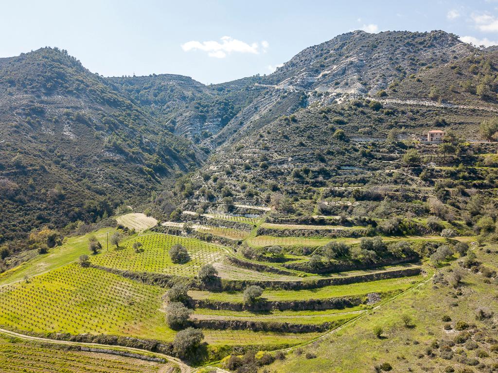 Field-Agios Mamas-PR36464