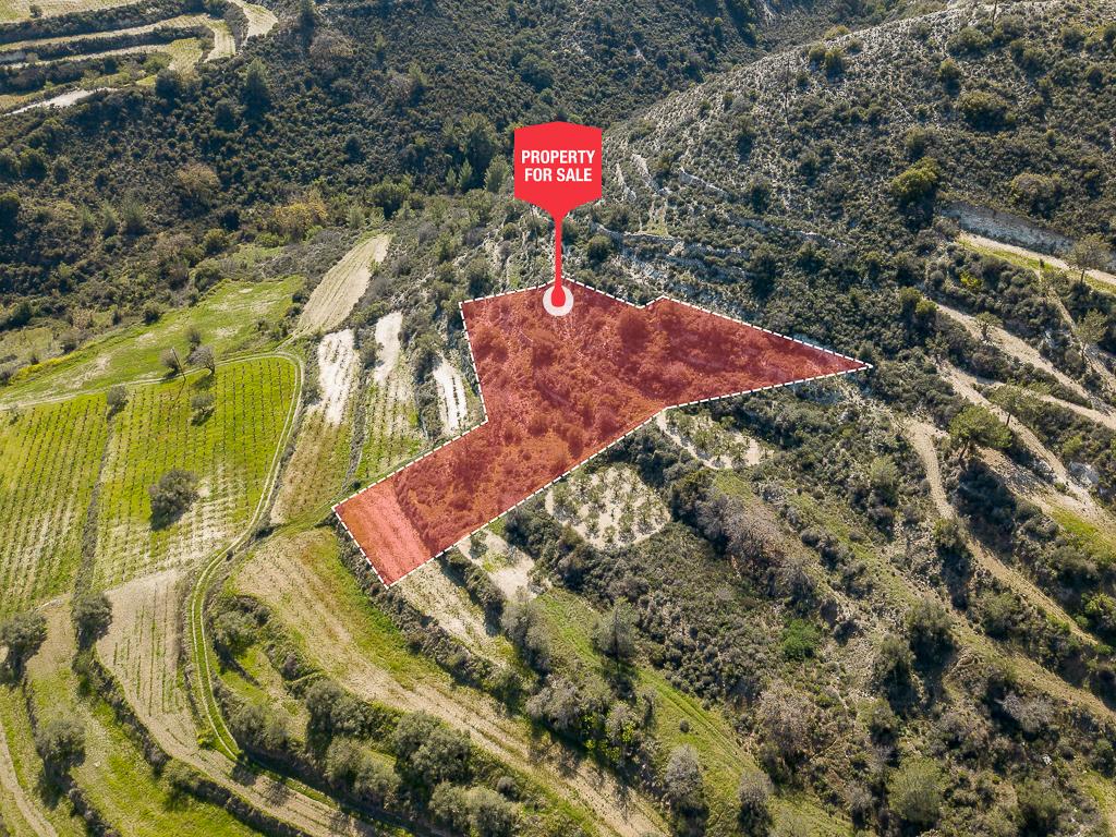 Field-Agios Mamas-PR36464