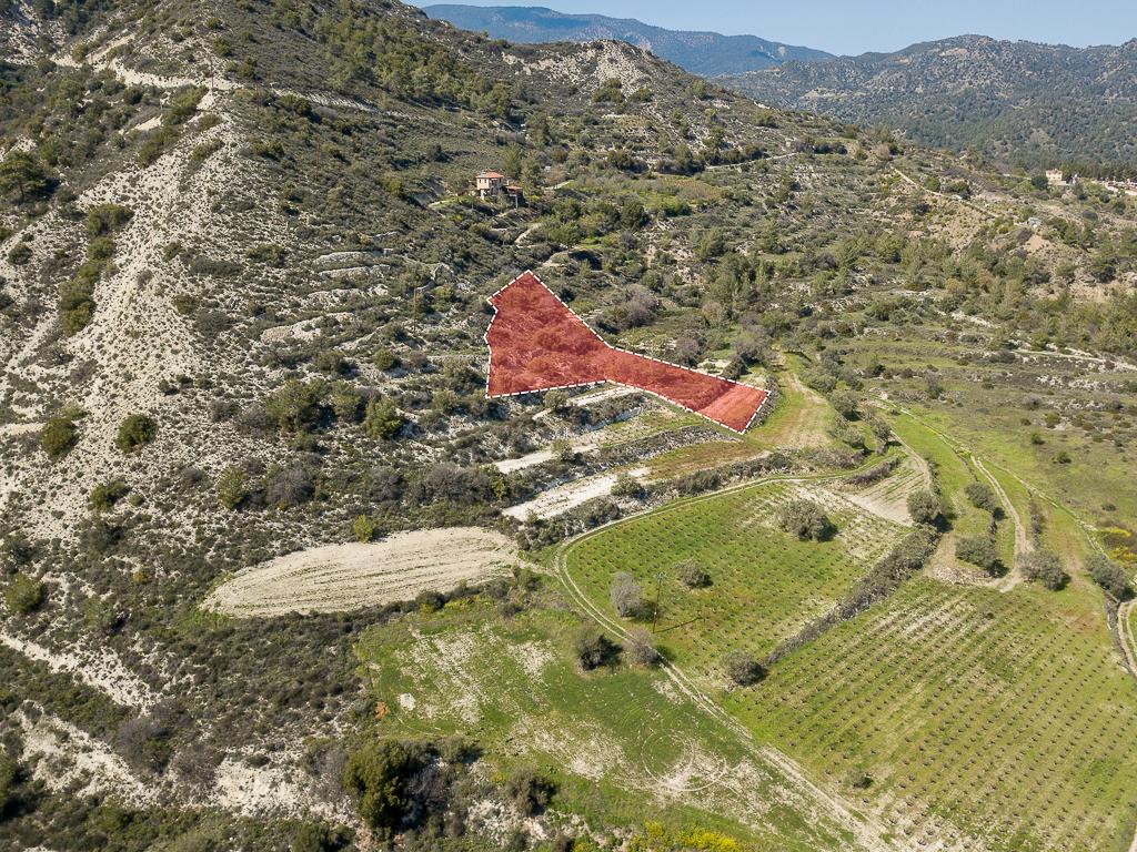 Field-Agios Mamas-PR36464
