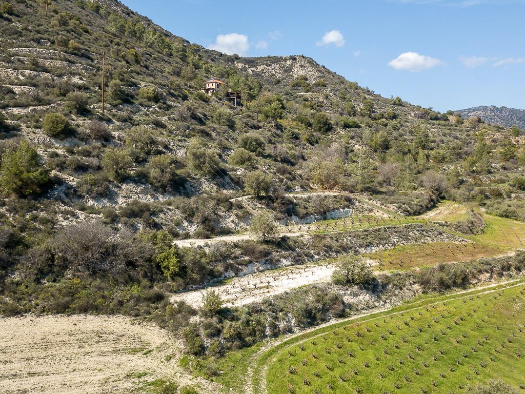Field-Agios Mamas-PR36464