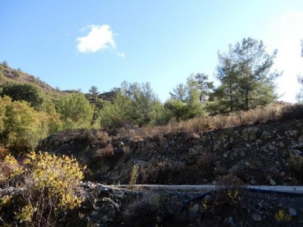 Field-Agridia-PR36379