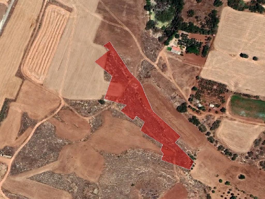Field-Paralimni-PR36791