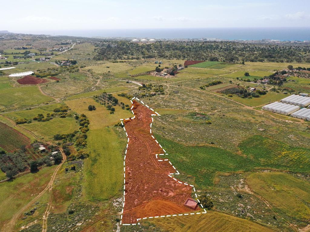 Field-Paralimni-PR36791