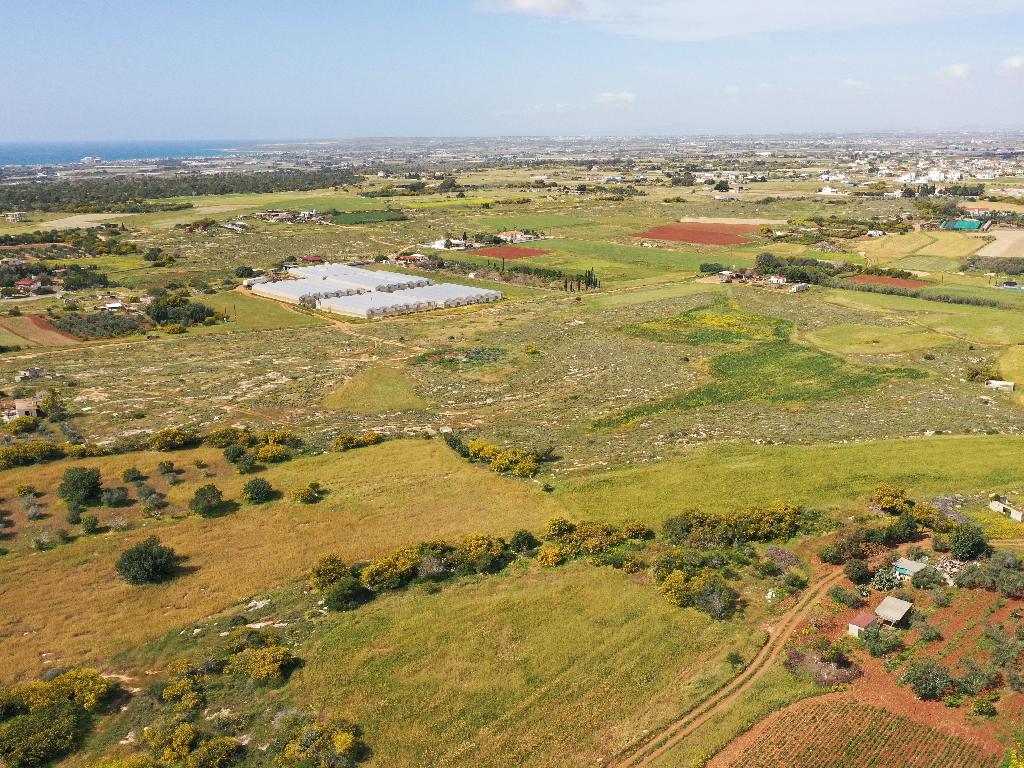 Field-Paralimni-PR36791