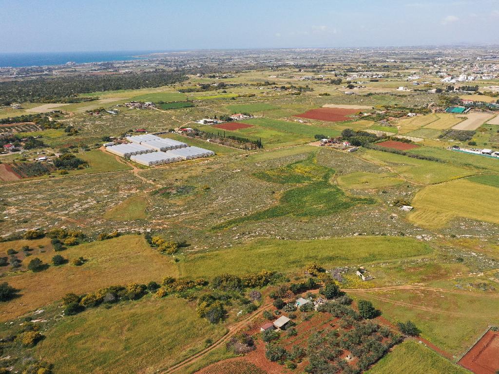 Field-Paralimni-PR36791