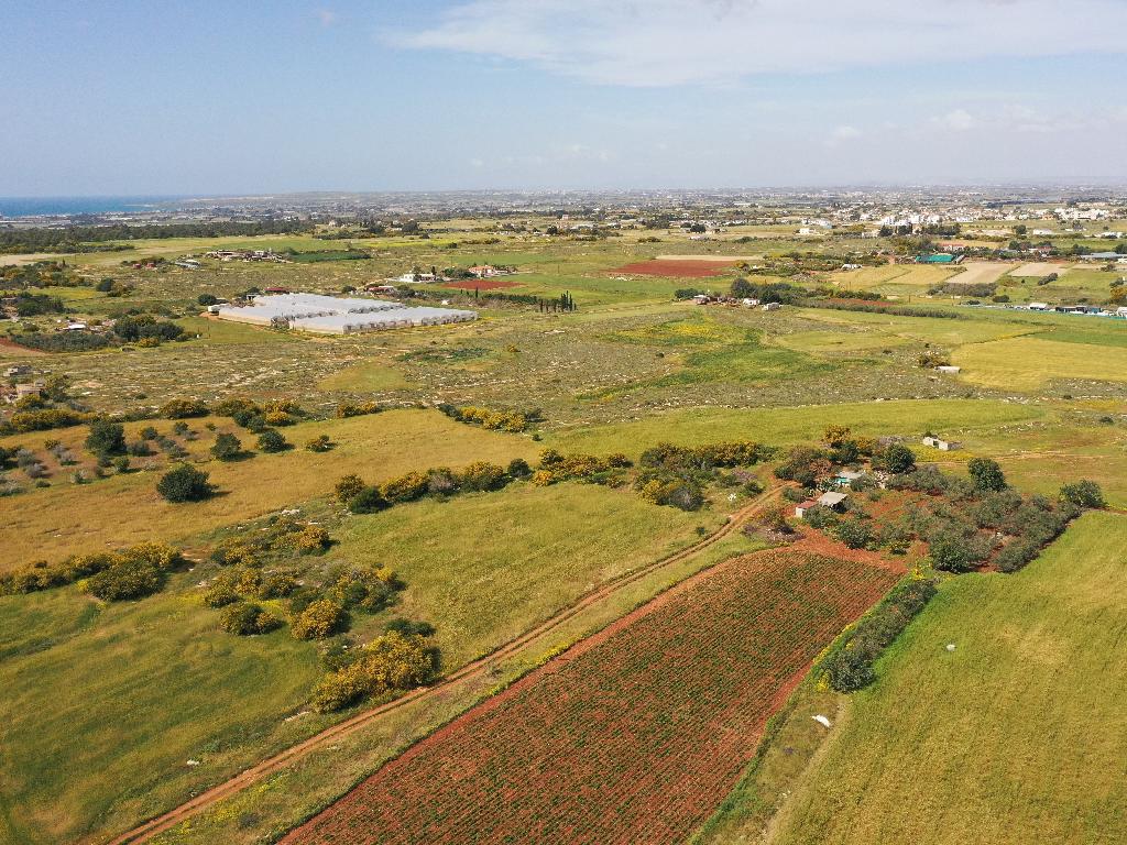 Field-Paralimni-PR36791