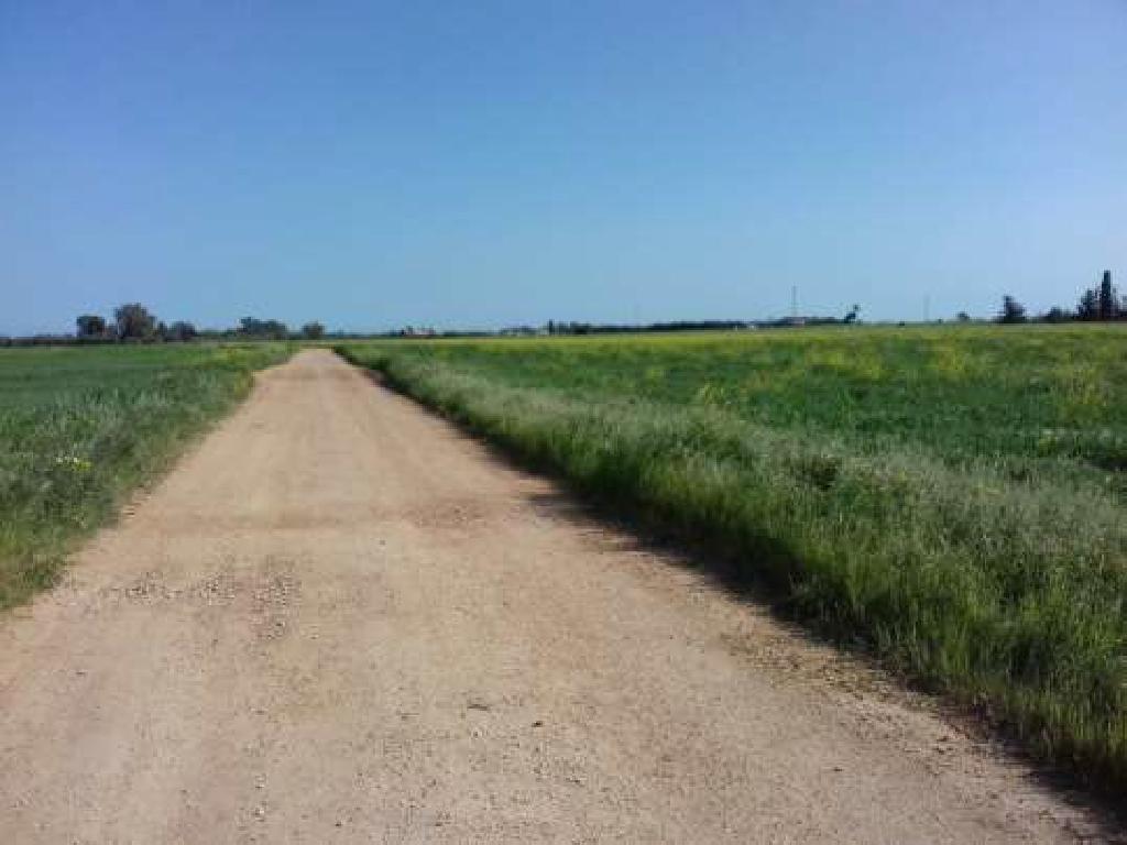 &Chi;&omega;&rho;ά&phi;&iota;-&Xi;&upsilon;&lambda;&omicron;&phi;ά&gamma;&omicron;&upsilon;-PR37177