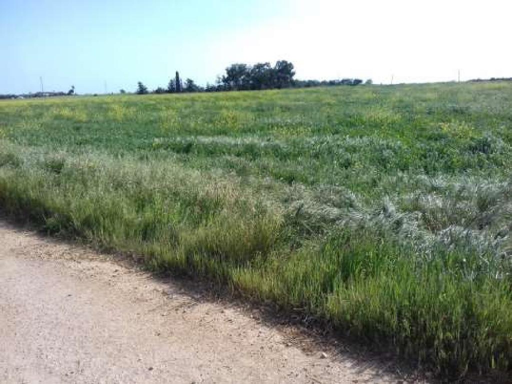 &Chi;&omega;&rho;ά&phi;&iota;-&Xi;&upsilon;&lambda;&omicron;&phi;ά&gamma;&omicron;&upsilon;-PR37177