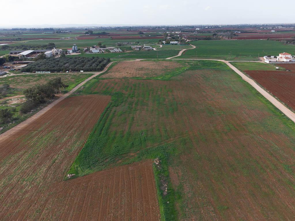 &Chi;&omega;&rho;ά&phi;&iota; - &Xi;&upsilon;&lambda;&omicron;&phi;ά&gamma;&omicron;&upsilon;, &Lambda;ά&rho;&nu;&alpha;&kappa;&alpha;