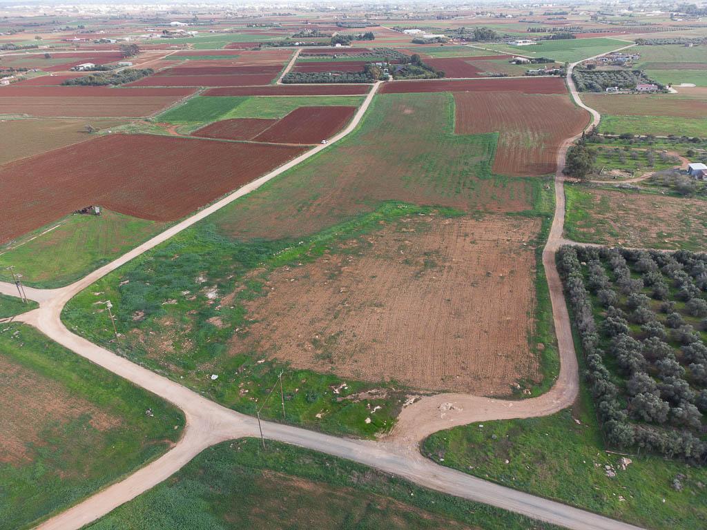 &Chi;&omega;&rho;ά&phi;&iota; - &Xi;&upsilon;&lambda;&omicron;&phi;ά&gamma;&omicron;&upsilon;, &Lambda;ά&rho;&nu;&alpha;&kappa;&alpha;