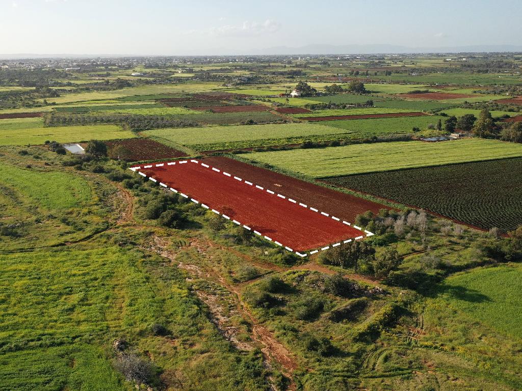 Field - Liopetri, Famagusta