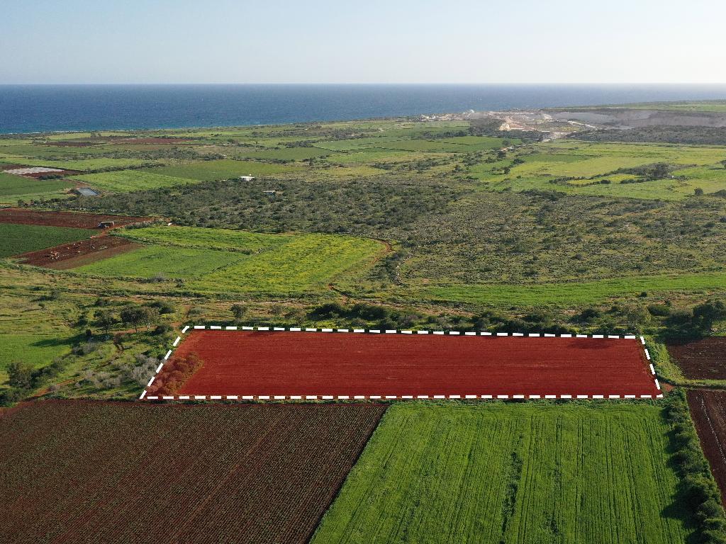 Field - Liopetri, Famagusta