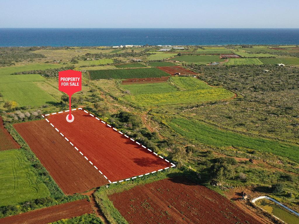 Field - Liopetri, Famagusta