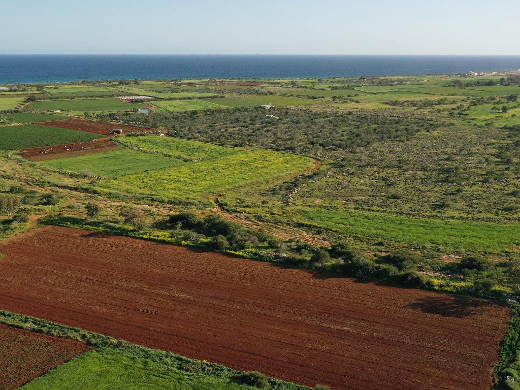 Field - Liopetri, Famagusta