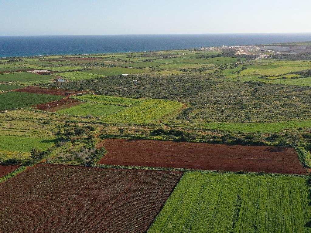 Field - Liopetri, Famagusta