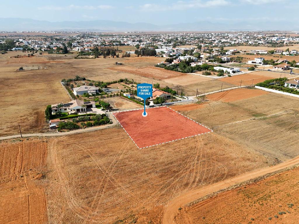 Field-Kokkinotrimithia-PR37884