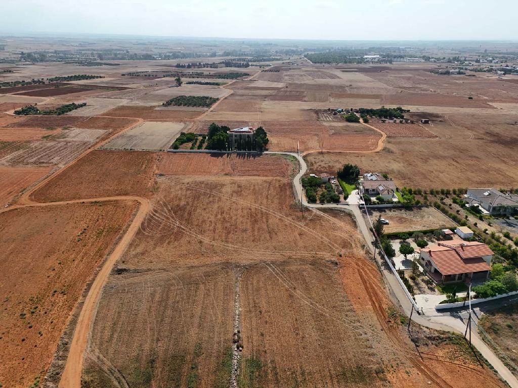 Field-Kokkinotrimithia-PR37884