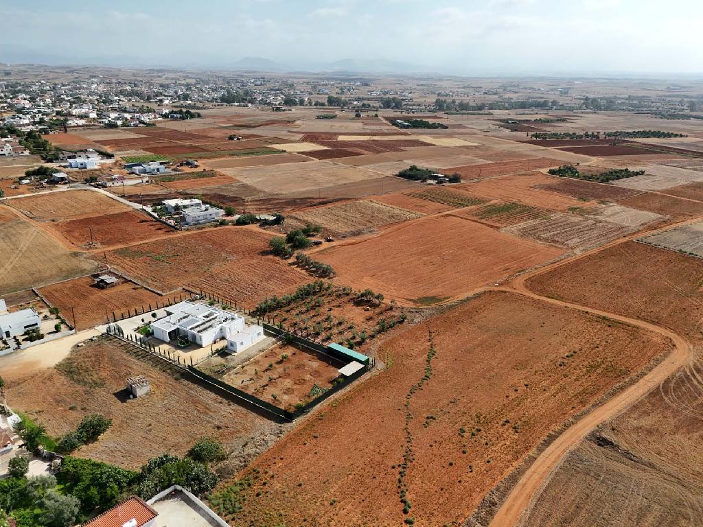 Field-Kokkinotrimithia-PR37884