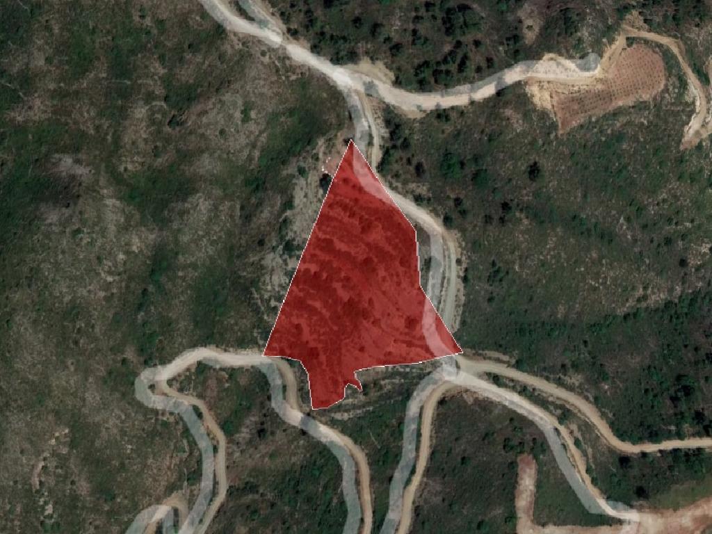 Field-Ora-PR36087