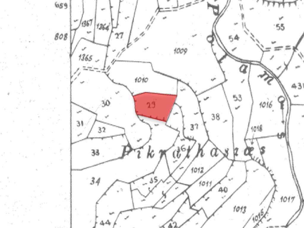 Field-Koilani-PR39277