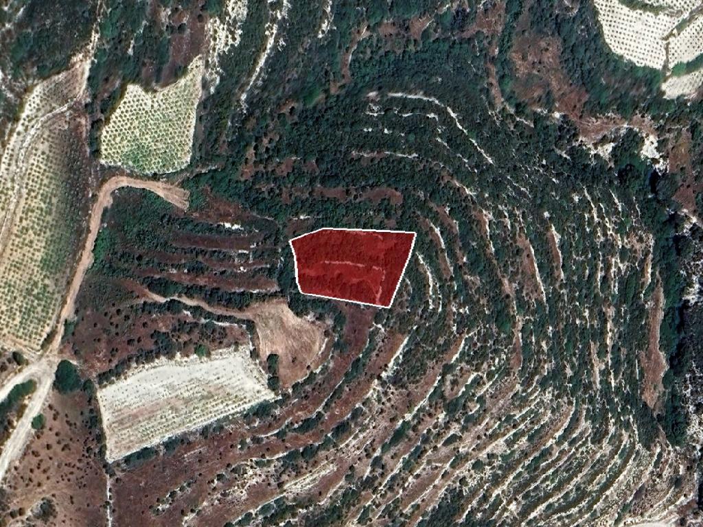Field-Koilani-PR39277
