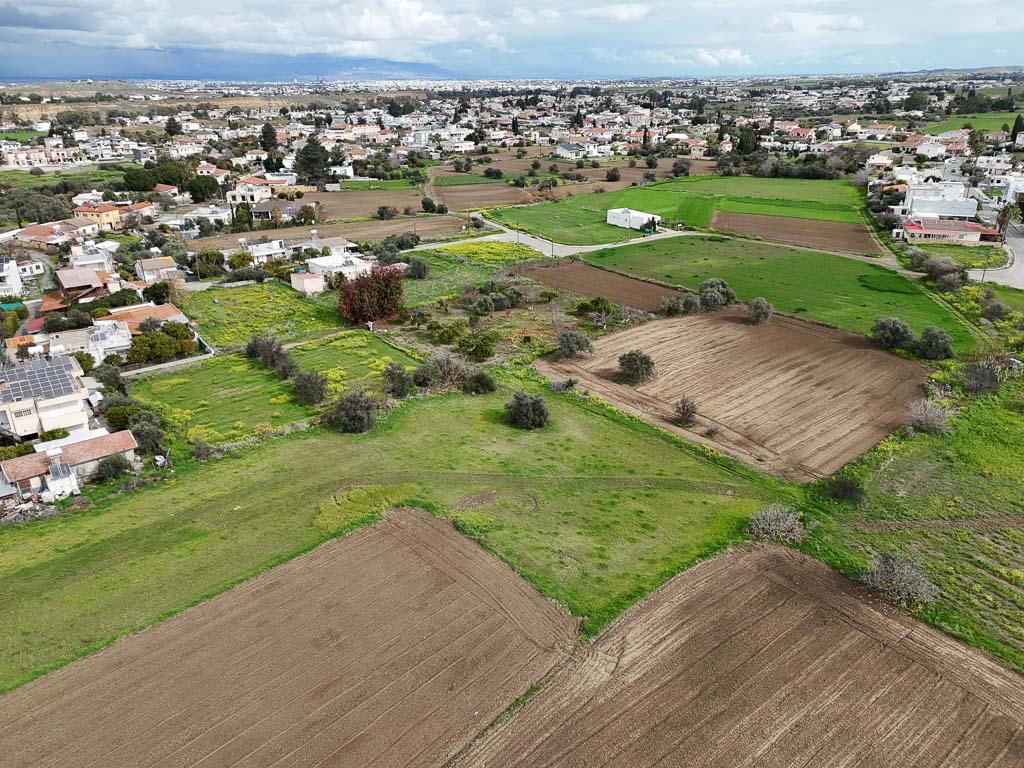 Field-Pano Deftera-PR39382