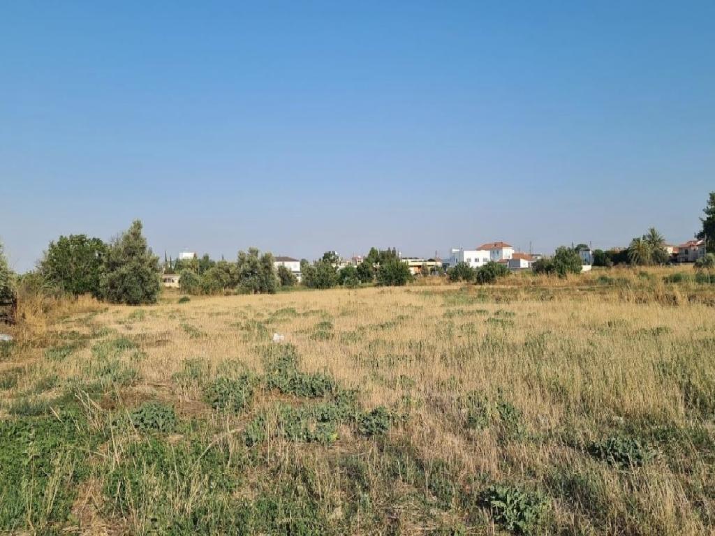 Field-Pano Deftera-PR39382