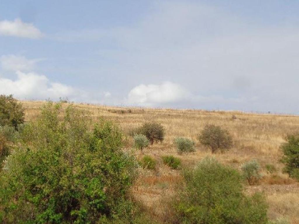 Field-Galataria-PR41529