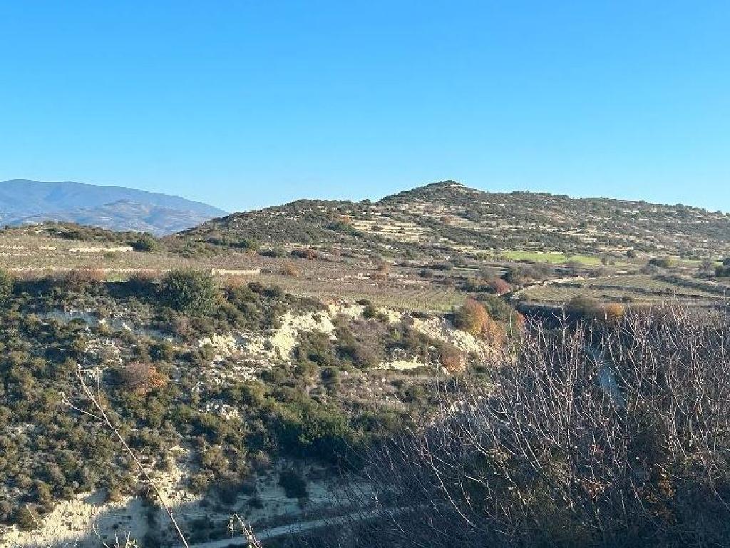 &Chi;&omega;&rho;ά&phi;&iota; - &Pi;ά&chi;&nu;&alpha;, &Lambda;&epsilon;&mu;&epsilon;&sigma;ό&sigmaf;