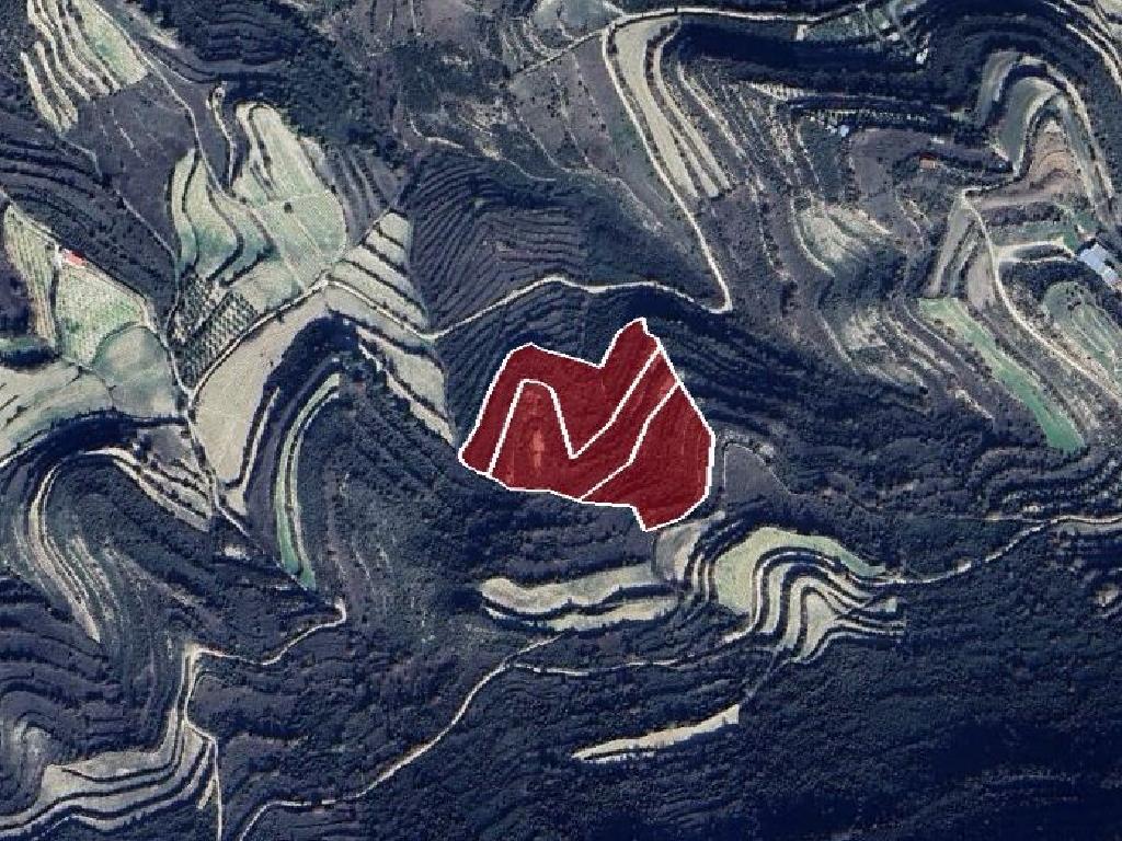 &Chi;&omega;&rho;ά&phi;&iota; - &Pi;ά&chi;&nu;&alpha;, &Lambda;&epsilon;&mu;&epsilon;&sigma;ό&sigmaf;