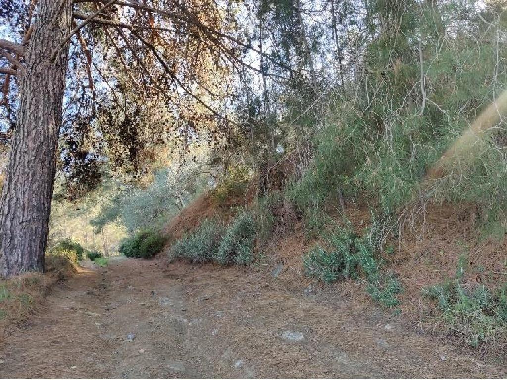 &Chi;&omega;&rho;ά&phi;&iota; - Ά&gamma;&iota;&omicron;&sigmaf; &Mu;ά&mu;&alpha;&sigmaf;, &Lambda;&epsilon;&mu;&epsilon;&sigma;ό&sigmaf;