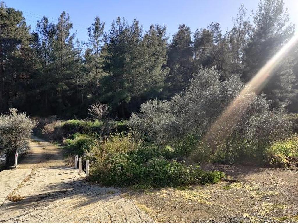 &Chi;&omega;&rho;ά&phi;&iota; - Ά&gamma;&iota;&omicron;&sigmaf; &Mu;ά&mu;&alpha;&sigmaf;, &Lambda;&epsilon;&mu;&epsilon;&sigma;ό&sigmaf;