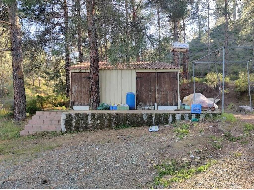 &Chi;&omega;&rho;ά&phi;&iota;-Ά&gamma;&iota;&omicron;&sigmaf; &Mu;ά&mu;&alpha;&sigmaf;-CP10272