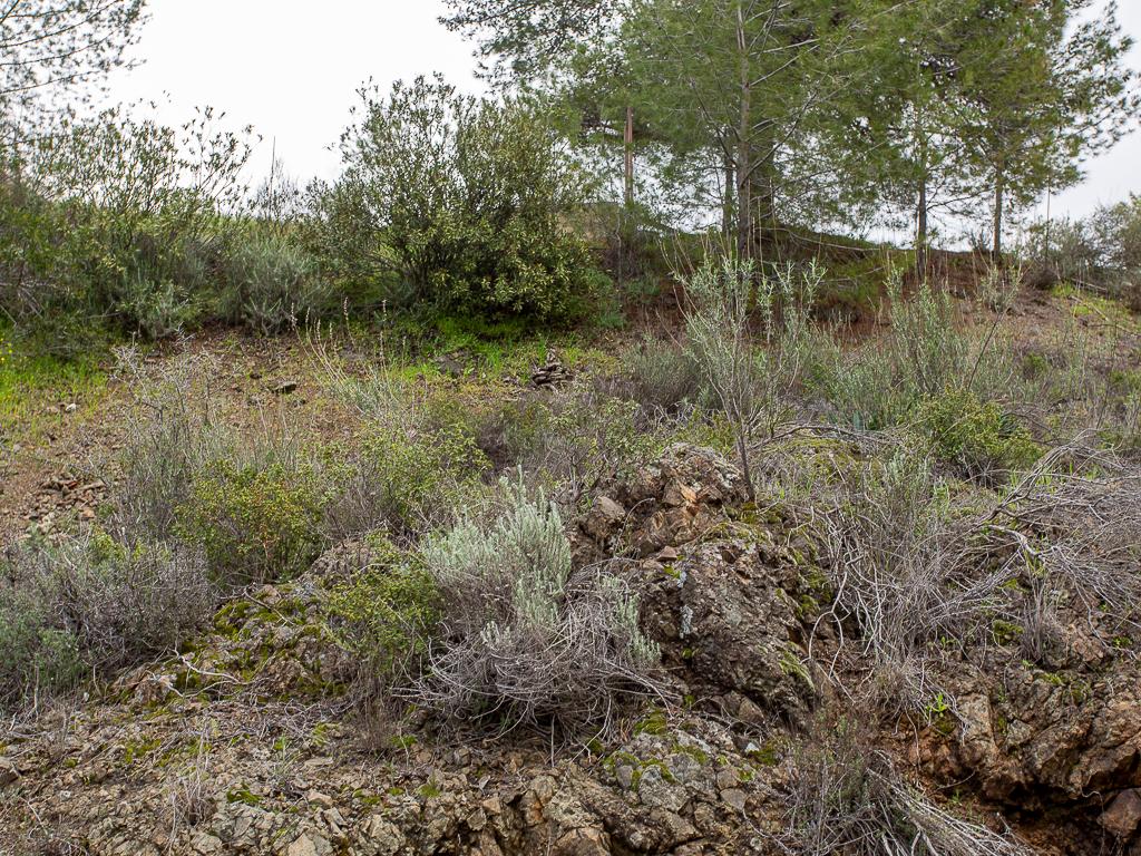&Chi;&omega;&rho;ά&phi;&iota; - Ά&gamma;&iota;&omicron;&sigmaf; &Mu;ά&mu;&alpha;&sigmaf;, &Lambda;&epsilon;&mu;&epsilon;&sigma;ό&sigmaf;