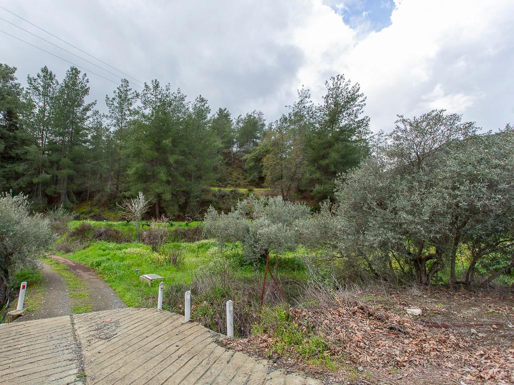 &Chi;&omega;&rho;ά&phi;&iota; - Ά&gamma;&iota;&omicron;&sigmaf; &Mu;ά&mu;&alpha;&sigmaf;, &Lambda;&epsilon;&mu;&epsilon;&sigma;ό&sigmaf;