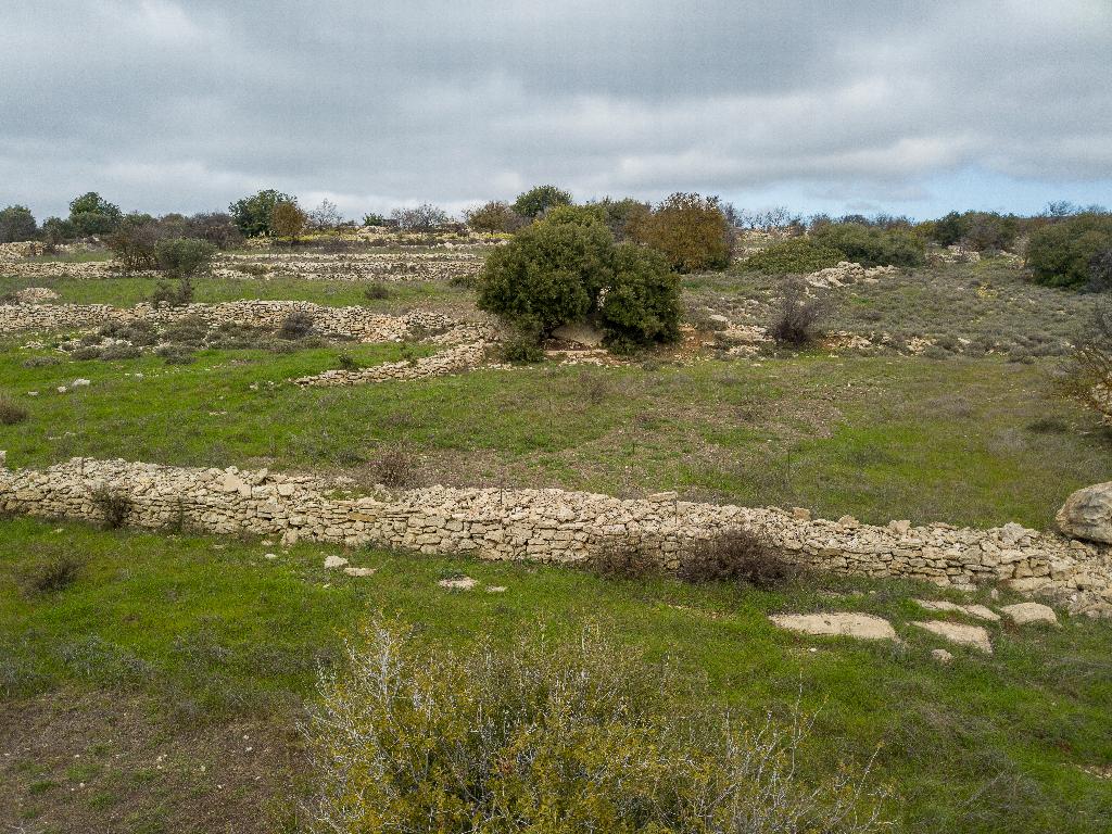 Field - Pachna, Nicosia