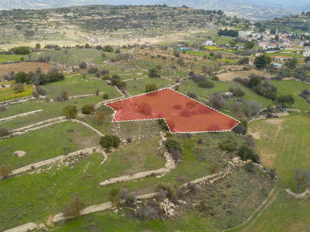 Field - Pachna, Nicosia