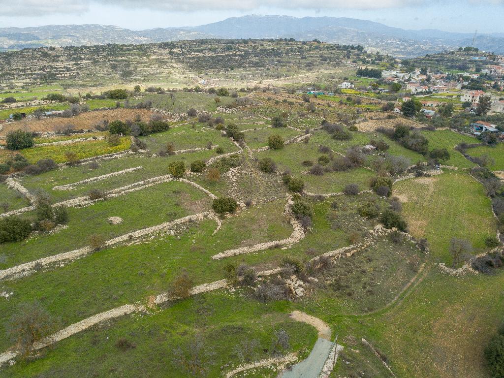 Field - Pachna, Nicosia