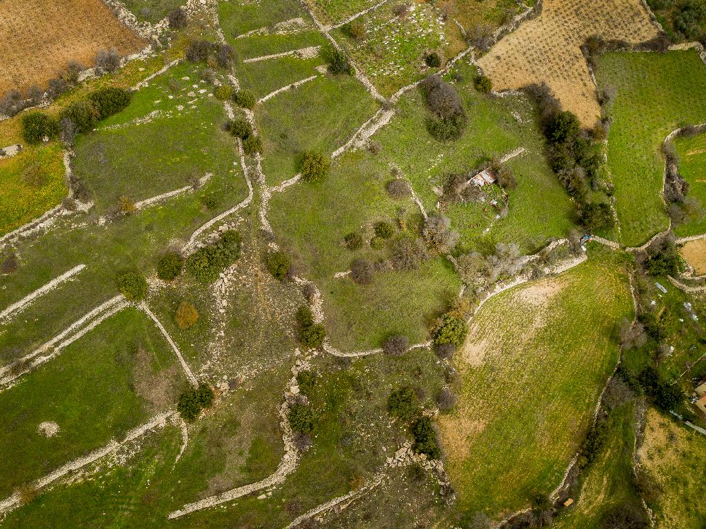 Field - Pachna, Nicosia