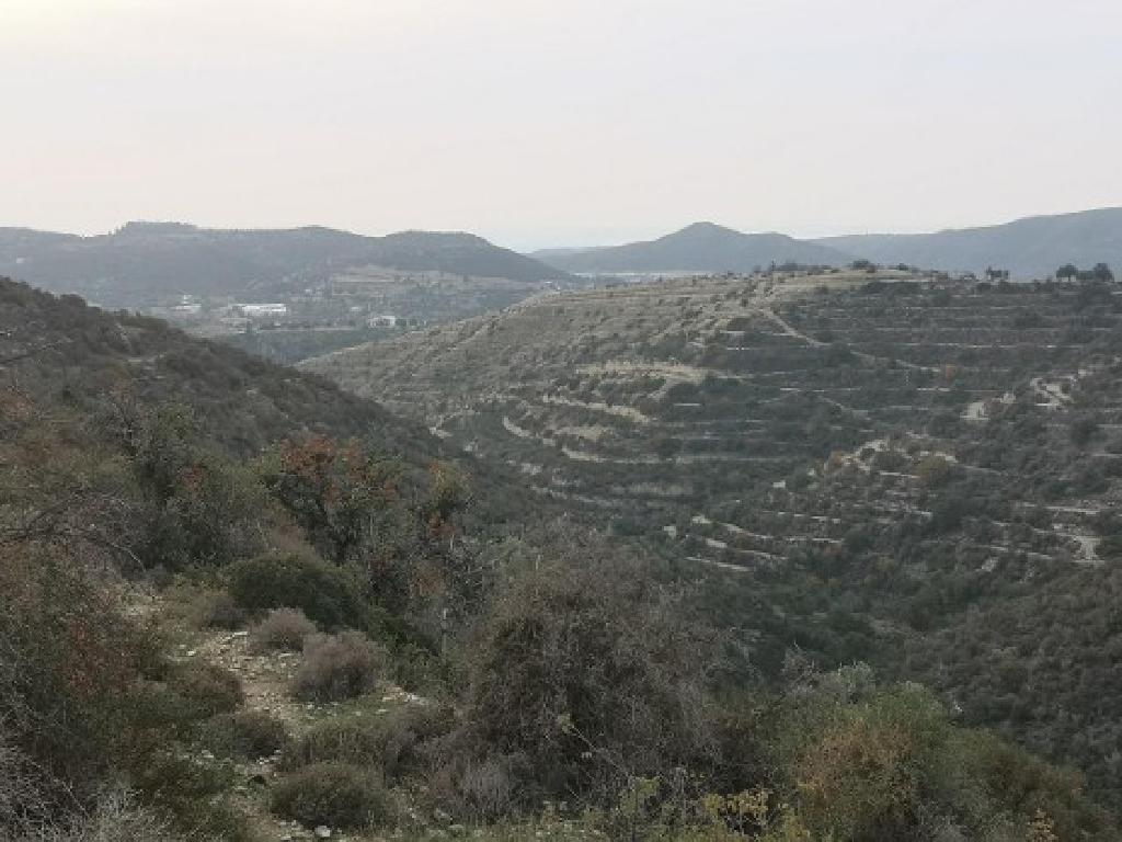 Field - Apesia, Limassol