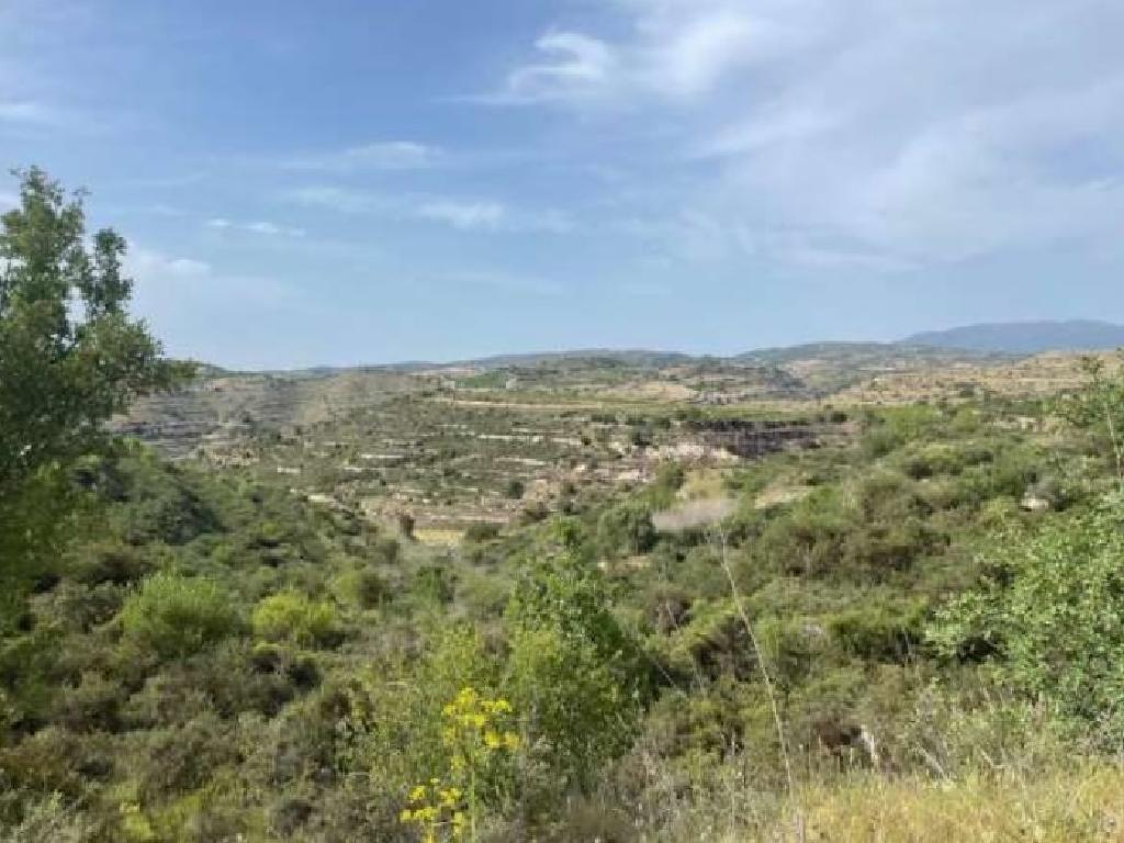 Field-Pachna-PR36275
