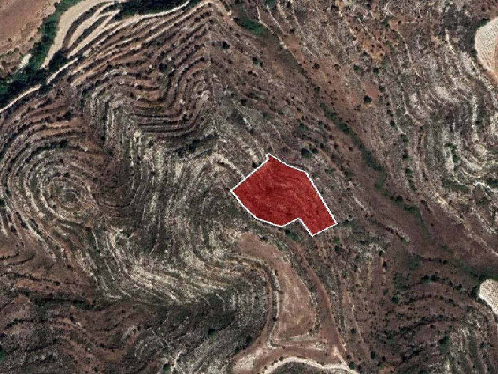 Field-Pachna-PR36275