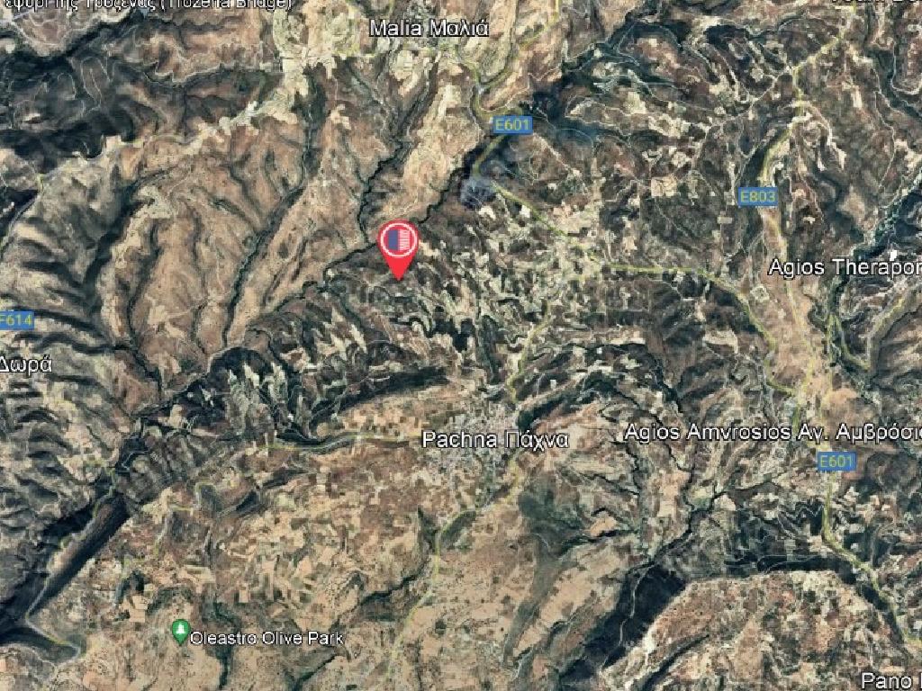 Field-Pachna-PR36275