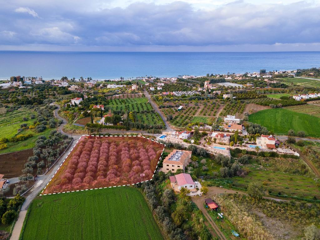 Field (Share) - Argaka, Paphos