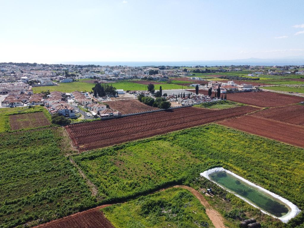 Field-Xylofagou-PR36135