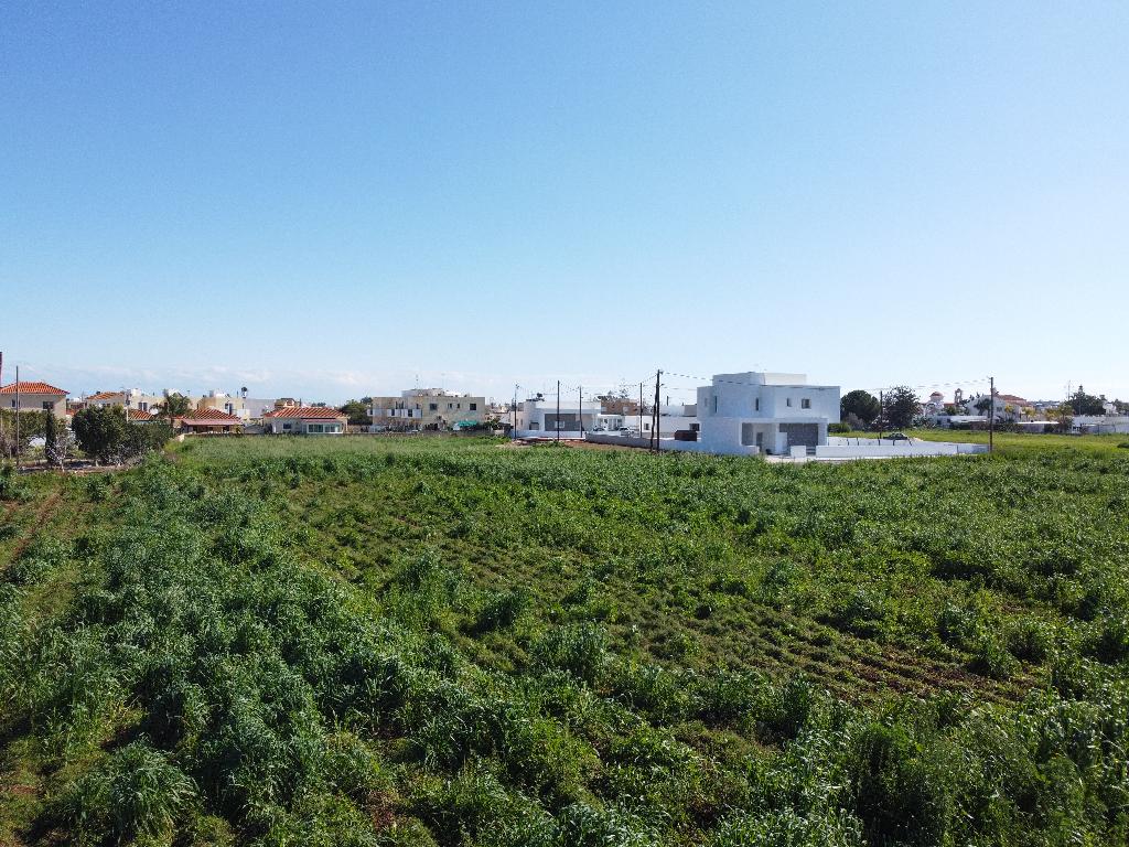 Field-Xylofagou-PR36135