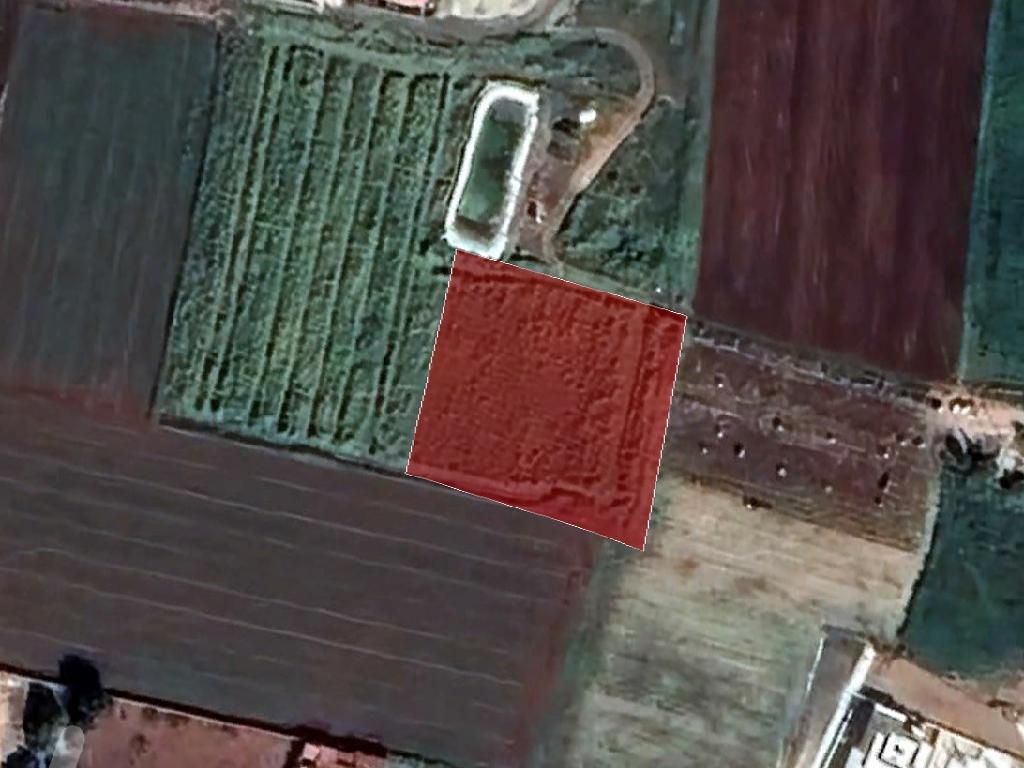 Field-Xylofagou-PR36135