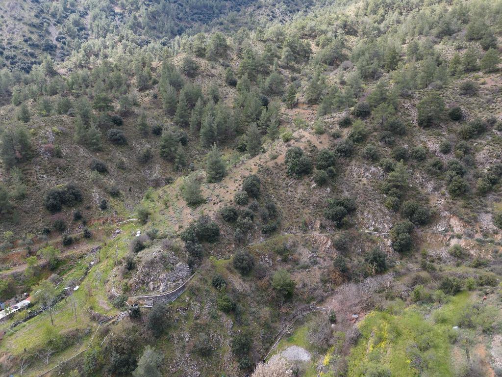 Field-Palaichori Orinis-PR38807
